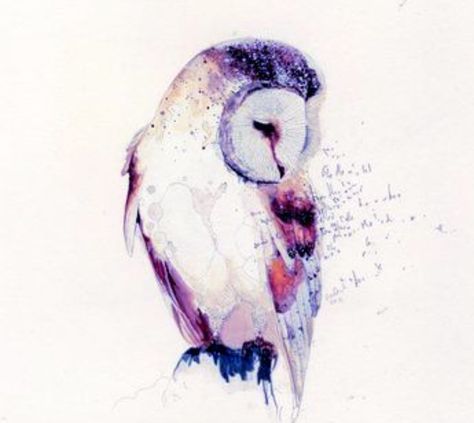 Bird Sketch Tattoo, Patronus Tattoo, Watercolor Owl Tattoos, Sketch Tattoo Ideas, Barn Owl Tattoo, Tattoo Watercolor, Kunst Tattoos, Owl Watercolor, Bird Sketch