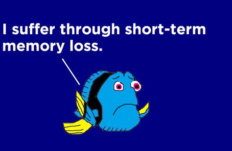 Hi Im Dory, Dory Quotes, Dory Short Term Memory, Long Term Memory Vs Short Term Memory, Nemo Quotes, Finding Dory Baby, 1 In 4 Pregnancy Loss, Baby Dory, Types Of Memory