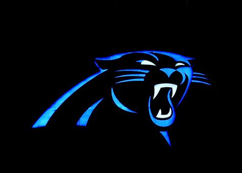 Panther Logo | Flickr - Photo Sharing! Carolina Panthers Logo, Panthers Logo, Panther Nation, Carolina Panthers Football, Panther Logo, Panthers Football, Nfl Carolina Panthers, Nfl Logo, Carolina Panthers