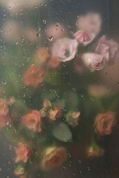 View of flowers through condensed glass | Free Photo #Freepik #freephoto #blooming-flower #flower #blooming #blossom-flower Wet Flower Wallpaper, Rainy Wallpaper Aesthetic, Flower Desktop Wallpaper, Wet Flowers, Rainy Wallpaper, Rainy Window, Michel De Montaigne, Flower Background Images, Flower Blooming