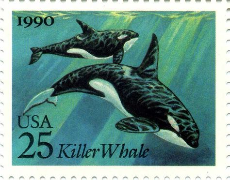 US2508 طوابع بريد, Zestaw Ikon, Fauna Marina, Postage Stamp Art, Orca Whales, Vintage Postage Stamps, Killer Whale, Vintage Postage, Post Stamp