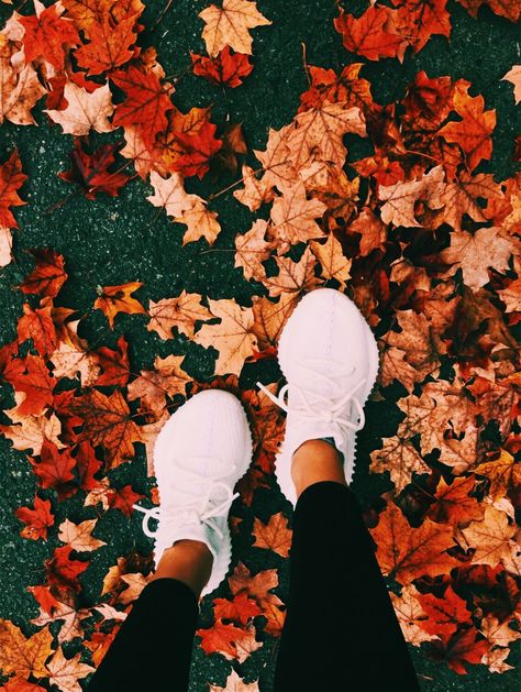 Обувь Autumn Weekend, Fall Bucket List, Have Inspiration, Foto Tips, Fall Inspo, Fall Photoshoot, Fall Feels, Fall Pictures, Autumn Cozy