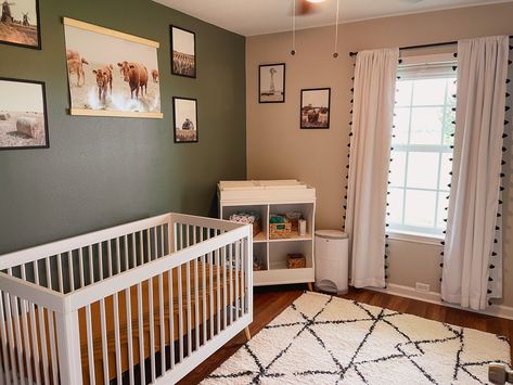 Cow Rug Nursery, Cow Theme Nursery Gender Neutral, Green Cow Nursery, Western Nursery Color Pallet, Nursery Ideas Cowboy, Neutral Cow Nursery, Western Nursery Accent Wall, Ranch Style Nursery, Green Western Nursery