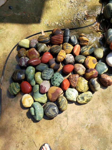 Types Of Rocks, Garden Witch, Rock Collecting, Insect Wings, Rock Types, Pretty Rocks, Cool Rocks, Round Rock, Love Rocks