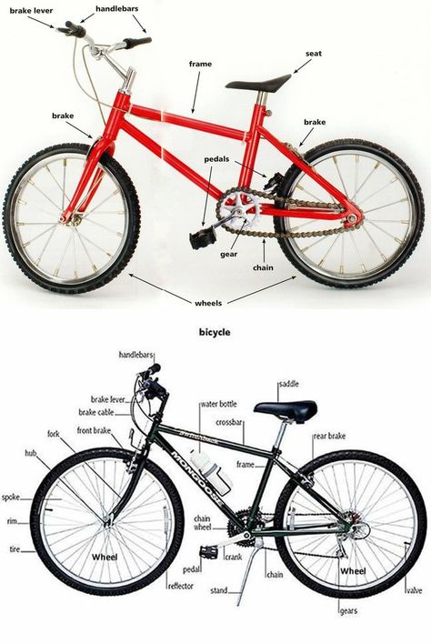 A bicycle, also called a cycle or bike, is a human-powered, pedal-driven, single-track vehicle, having two wheels attached to a frame, one behind the other ... Picture Dictionary, English Vocab, Learn Faster, English Tips, Grammar And Vocabulary, Learn English Vocabulary, English Learning, Education English, Guided Writing