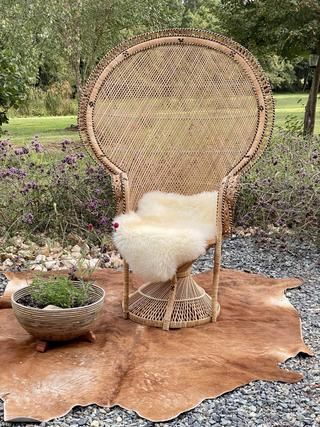 Boho Bride Peacock Chair Decor, Baby Shower Chair, Brown Shower, Modern Boho Style, Wicker Armchair, Bohemian Baby Shower, Baby Shower Deco, Outdoor Baby Shower, Vintage Peacock