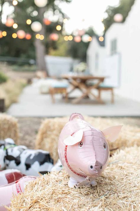 Barnyard Party Favors, Pink Barnyard Party, Pink Farm Party, Barnyard Cake, Pig Balloon, Barnyard Bash, Autumn Birthday, Barnyard Birthday Party, Farm Theme Birthday