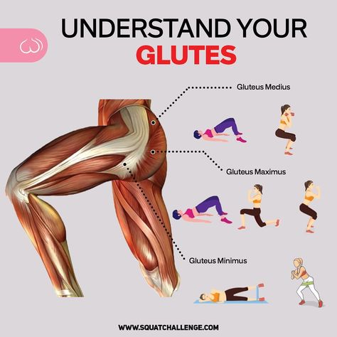 Exercises For Gluteus Minimus, Glute Medius And Minimus Exercises, Gluteus Maximus Workout At Home, Glutes Minimus Workout, Glutious Maximus, Gluteus Minimus Workout, Minimus Glutes Workout, Glute Muscles Anatomy Exercise, Glute Maximus Workout