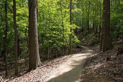 Cle Metroparks Celebrates Opening Day for Trails Launches Trail Challenges Brandywine Falls, Cleveland Metroparks, Cuyahoga Valley National Park, Northeast Ohio, Take A Hike, Opening Day, Fresh Air, How To Stay Healthy, Cleveland