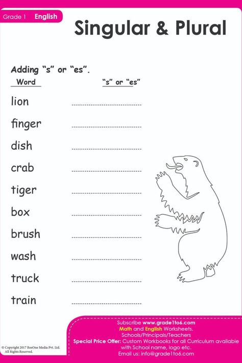 One Many English Worksheet, Singular Plural Worksheets, English Worksheets For Grade 1, Plurals Worksheets, Plural Nouns Worksheet, Singular Plural, Free English Worksheets, Worksheets For Grade 1, Preposition Worksheets