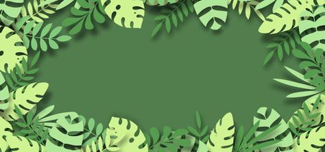 Wallpaper Jungle, Tree Stem, Zoom Video, How To Make Frames, Jungle Tree, Green Leaf Background, Border Background, Tropical Background, Leaf Border