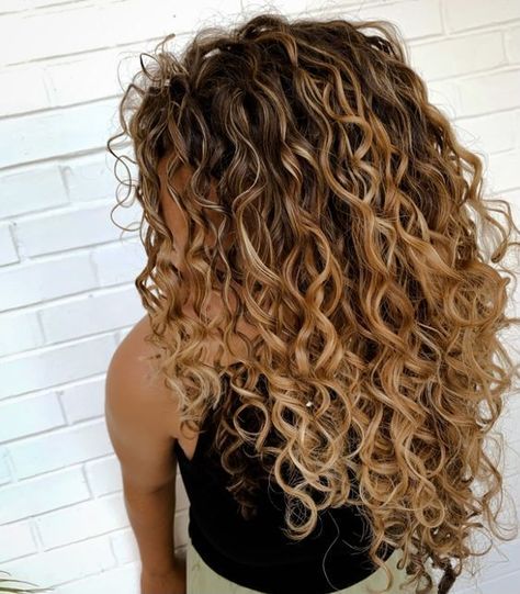 Curly Balayage Hair Naturally, Ombre Hair Curly Natural Curls, Curl Hair With Highlights, Carmel Highlights On Curly Hair Natural Curls, Curl Balayage Curly Hair, Curl Hair Balayage, Reverse Balayage Curly Hair, Natural Curly Balayage Hair, Blonde Balayage On Naturally Curly Hair