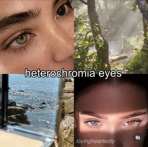 Amber Eyes Heterochromia, People With Two Different Colored Eyes, Hertocromia Eyes, Different Eye Colors Heterochromia, Green And Brown Heterochromia, Blue And Brown Eyes Heterochromia, Heterochromia Eyes Blue And Green, Hetorcromia Eyes, Types Of Eye Colors