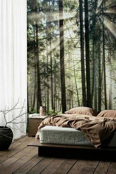 Forest Theme Room, Forest Wallpaper Bedroom, Forest Bedroom Ideas, Forest Room Decor, Vast Forest, Forest Themed Bedroom, Woodland Mural, Wallpaper Powder Room, Forest Bedroom