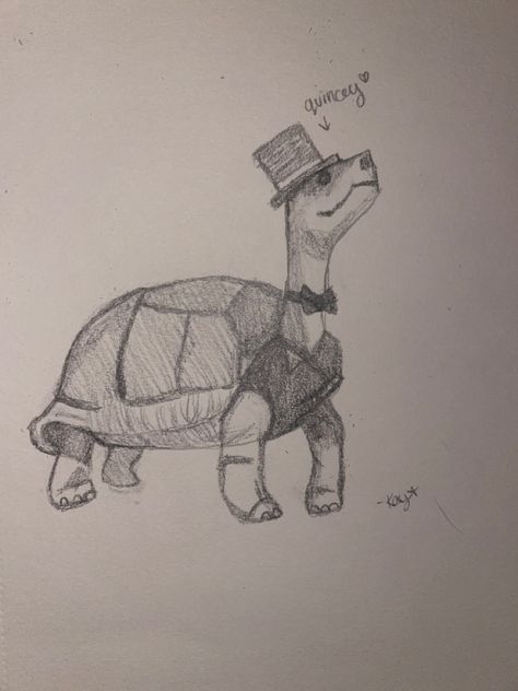 turtles and fancy things Top Hat Sketch, Funny Turtle Drawings, Top Hat Drawing Reference, Animals Doing Human Things Drawing, Turtle Drawing Simple, Turtle Sketches, Traceable Drawings, Turtle Doodle, Top Hat Drawing