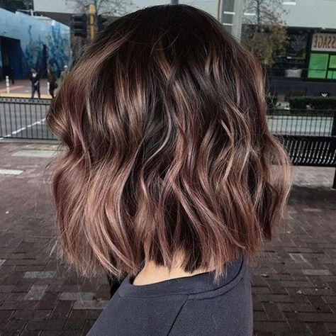 Hello Hair — Short hair crush for the day. 💁🏽 We’re having... Darkish Hair Color Ideas, Ombre Brown Hair Short, Short Brown Hair Haircuts, Short Hair For Fall, Brunette Hair Short, Short Brunette Hair With Highlights, Short Highlighted Hair, Short Hair With Highlights, Highlights Short Hair