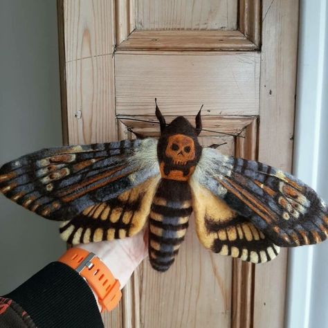 Needle Felt Taxidermy, Felt Sculpture Art, Needle Felt Sculpture, Needle Felted Moth, Needle Felted Butterfly, Felted Moth, Felt Moth, Fibre Artist, Taxidermy Wall