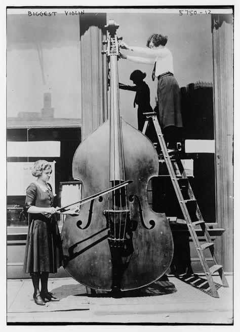 This is from 1912 and is named the biggest violin. It is rightly tuned and can be played. It is also being preserved. Funny Vintage Photos, All About That Bass, Double Bass, Making Music, Vintage Humor, String Instruments, Sound Of Music, Classical Music, Music Stuff