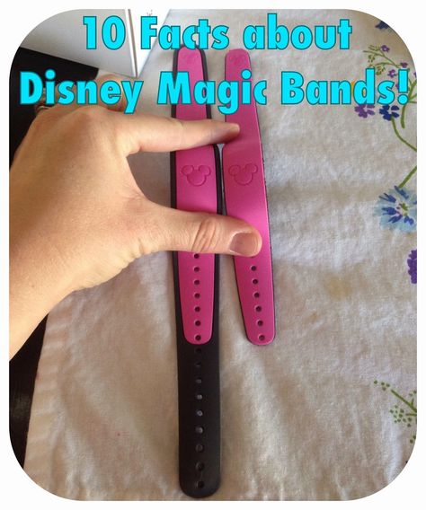 Disney Bands, Florida Disney, Disney Magic Bands, Travel Florida, Florida Adventures, Disney World Vacation Planning, Family Disney Trip, Fast Pass, Disney Vacation Planning