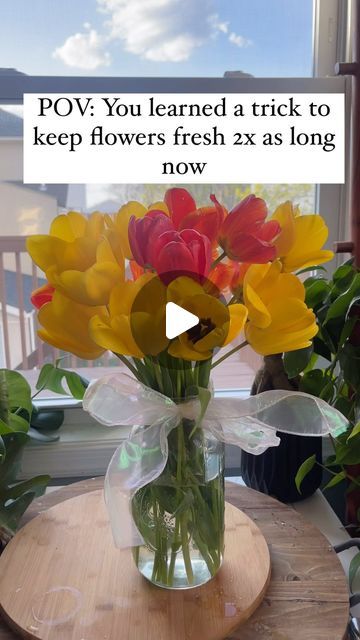 Thuy Improta on Instagram: "🌸 A Must-Know Trick for This Spring! 🌸  🌼 Keep your flowers fresh longer with this simple hack 🌼  Follow @ministry_from_home for more homemaking   Did you know about this ? My mom always told me to add sugar, but I recently discovered the vinegar trick too!  Here’s how it works:  1. Cut the stems of your flowers at a 45-degree angle. 2. Trim any leaves that will be submerged in water. 3. In a vase, mix 2 tablespoons of sugar and 2 tablespoons of vinegar for every 1 liter of lukewarm water. 4. Place your flowers in the vase filled with the sugar-vinegar solution.  The sugar nourishes the plants, while the vinegar inhibits bacterial growth, helping your flowers stay fresh longer!  Give it a try and enjoy your beautiful, long-lasting flowers! 💐🌺🌼 trick too! Flower Tips, Water Mixes, Fresh Flowers Arrangements, Flower Care, Flower Arranging, Stay Fresh, April 15, Simple Tricks, Fresh Flowers