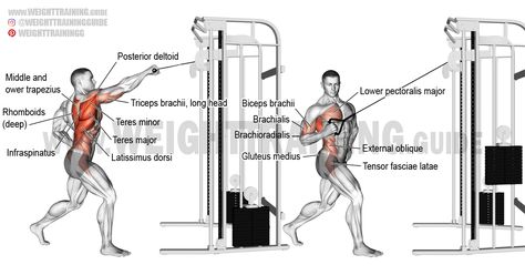 Cable Ab Workout, Cable Workouts, Row Exercise, Serratus Anterior, Good Back Workouts, Cable Workout, Gym Plan, Cable Row, Latissimus Dorsi