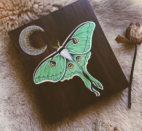 Lunar Moth Painting Acrylic, Moth Painting Acrylic Easy, Easy Moth Painting, Lunar Moth Painting, Luna Moth Painting Acrylic, Lunar Moth Nails, Moth Painting Acrylic, Luna Moth Drawing, Moth Diy