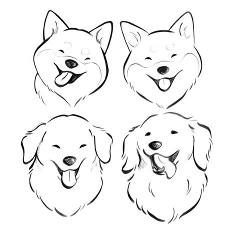 Dog Toy Drawing, Dog Expressions Drawing, Happy Dog Illustration, Petra Drawing, Sketches To Practice, Golden Retriever Sketch, Loose Sketches, Dog Drawing Reference, Study Sketches