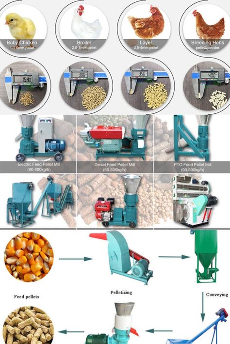 Animal performance and feed efficiency benefit from good quality feed pellets. The better the pellet, the better the performance. Reduced waste, less segregation in the animal feed pellets, improved palatability, and shorter eating periods-all of these feed pellet merits are brought by animal feed machine. Fusmar Machinery is a reliable feed pellet mill manufacturer and supplier, which is offering a wide range of feed making equipment including diesel feed equipment, electric feed machinery. Poultry Farm Buildings, Reban Ayam, Poultry Farm Design, Poultry Business, Poultry Equipment, Chicken Barn, Poultry Farming, Livestock Feed, Poultry House