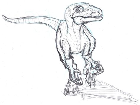 Velociraptor Sketch, Diplodocus Drawing, Jurassic World Drawing, Jurassic Park Drawing, Raptor Sketch, Raptor Drawing, Velociraptor Art, Velociraptor Drawing, Maus Illustration