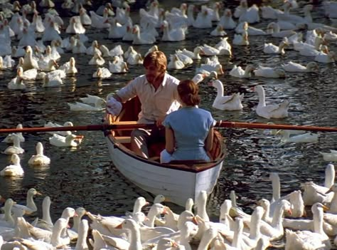 The Notebook Boat Scene, Notebook Boat Scene, The Notebook 2004, Nicholas Sparks Movies, Animal Captions, Old Fashioned Love, I Love Cinema, Ingrid Bergman, Nicholas Sparks