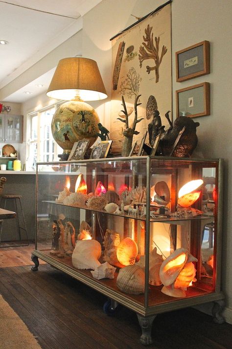 Inspired by Wonder: How to Create a Cabinet of Curiosities – Canvas: A Blog By Saatchi Art Crystal Collection Display, Shell Lamps, Animal Vegetable, Cabinet Of Curiosity, 1940s Home, Mineral Display, Glass Showcase, Glass Display Case, Eclectic Living