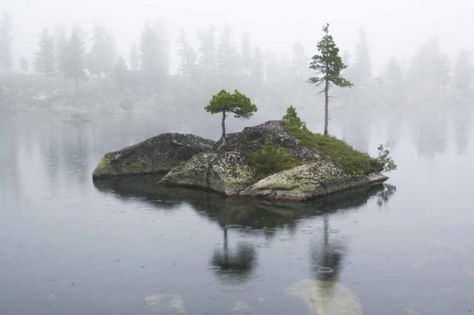 Tiny isolated island in the middle of Artists Lake Ergaki Russia