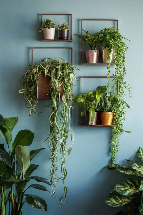 Plant Wall Above Couch, Hanging Plant Wall Indoor, Hang Plants On Wall, Hanging Pothos Plant Decor, Wall Of Plants Indoor, Hanging Plant Bedroom, Plants On Wall, Pothos Plant Decor, Hang Plants From Ceiling