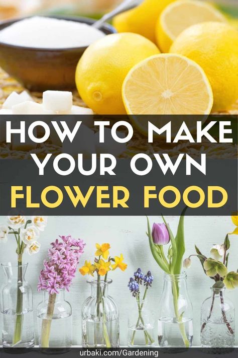 How To Make Flower Food, Flower Food Diy Water, Flower Food Diy, Homemade Flower Food, Cut Flower Food, Homemade Plant Food, Natural Plant Food, Flowers Last Longer, Food Substitutions