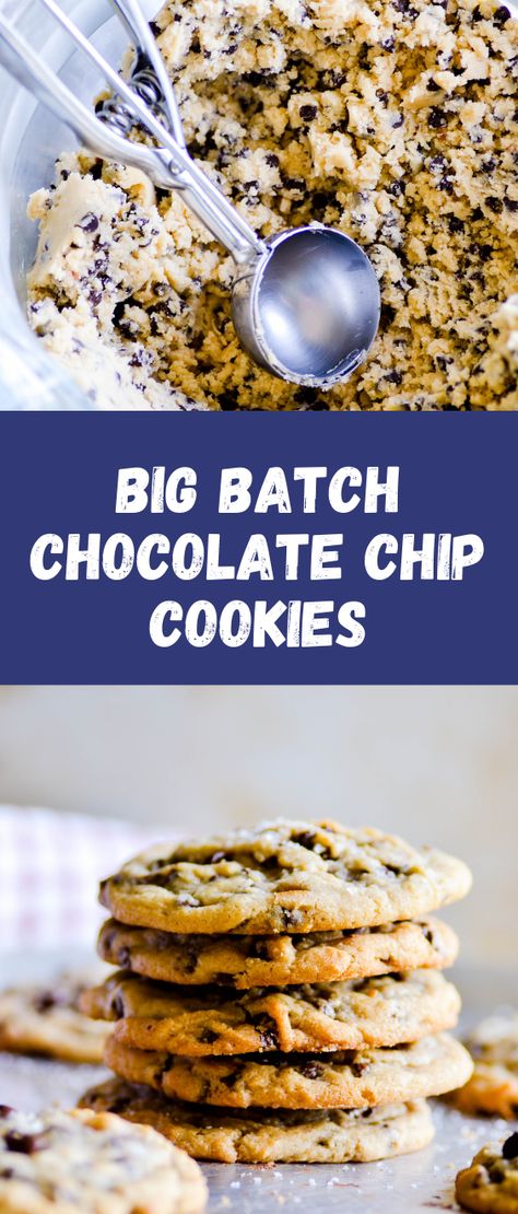 This Big Batch Chocolate Chippers recipe makes either 4 dozen BIG cookies (1/4 cup of dough per cookie) or 8 dozen standard size cookies (2 tbsp dough per cookie). Big Batch Of Cookies, Large Batch Cookies Recipe, Big Batch Snacks, Big Batch Of Chocolate Chip Cookies, Big Batch Cookies Recipes, Large Batch Baking, Big Batch Cookies Easy, Big Batch Chocolate Chip Cookies, Easy Big Batch Cookies