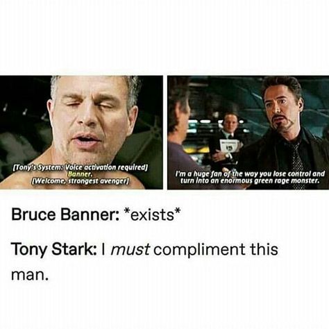 Science Boyfriends, Science Bros, Dc Memes, Dc Movies, Mark Ruffalo, Avengers Memes, Bruce Banner, Marvel Stuff, Marvel Jokes