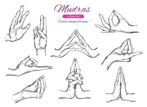 Mudras Hand, Yoga Mudras, Vector Hand, Premium Vector, Graphic Resources, Hand Drawn, Art Collection, How To Draw Hands, Yoga