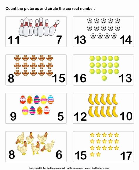 Counting to 20 Worksheet New Counting Worksheets 1 20 Animals 1 10 Shapes 11 20 30 – Chessmuseum Template Library Numbers 16-20 Worksheets, Math Counting Worksheets, Math Counting Activities, Counting Worksheets For Kindergarten, Preschool Math Games, Identifying Numbers, Counting To 20, Counting Worksheets, Preschool Math Worksheets