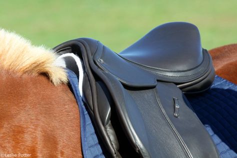 5 English Saddle Fit Mistakes Saddle Fitting English, Horse English, Barrel Racing Tips, English Saddles, Horse Breeding, Stable Ideas, Saddle Rack, Proper English, Saddle Fitting