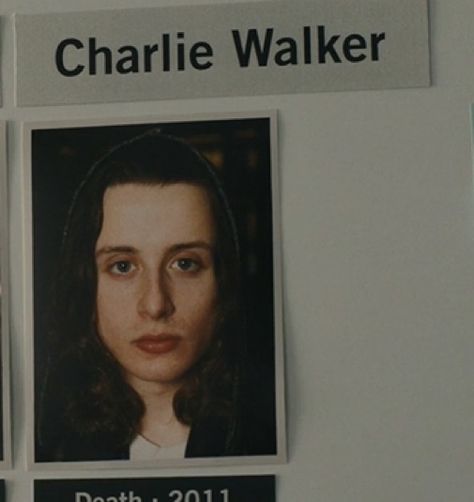 Charlie Walker Scream, Culkin Brothers, Charlie Walker, Walker Aesthetic, Top Horror Movies, Rory Culkin, Chaos Lord, Julian Casablancas, Zoo Wee Mama