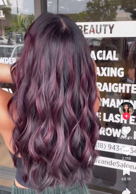 Brown And Plum Hair, Dark Brown Hair Purple Highlights, Brown Purple Highlights, Purple Curly Hair Highlights, Colours To Dye Your Hair, Cherry Brown Highlights, Warm Purple Hair, Brown Hair With Purple Highlights, Purple Burgundy Hair