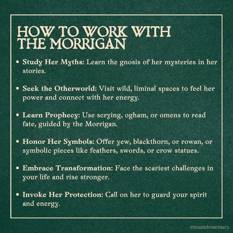 The Morrigan: Warrior. Seer. Queen of Chaos. 🖤 She’s not just an Irish goddess—she’s the battlefield embodied. Her crows don’t just watch; they decide the outcome. Her prophecies aren’t warnings; they’re destiny. Did you know? The Morrigan doesn’t just predict outcomes—she creates them. In the heat of war, she drives warriors into a frenzy, fighting like there’s no tomorrow.🌪️ ✨ Her symbols: Crows, wolves, cauldrons, swords, and even eels. Which one resonates most with you? ✨ Her message: ... Working With The Morrigan, Witch Prayers, The Morrigan Goddess, Morrigan Goddess, Witch Practice, Witchcraft Diy, Irish Goddess, Resting Witch Face, The Morrigan