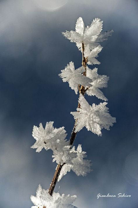 I Love Snow, Winter Frost, 카드 디자인, I Love Winter, Airbrush Art, Winter Magic, Winter Scenery, Winter Beauty, Snow Scenes