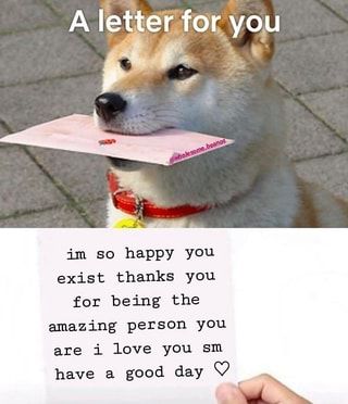 Happy you exist thanks you for being the amazing person you are i love you sm have a good day O – popular wholesome memes on the site whlsm.com Have A Good Day I Love You, Have A Good Day Wholesome, Thank You Wholesome, Wholesome Love, Cheer Up Quotes, Cute I Love You, Wholesome Pictures, Summer Fair, Amazing Person