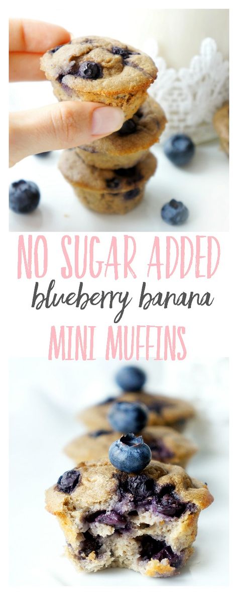 No Sugar-Added Mini Blueberry Banana Muffins | Haute & Healthy Living Blueberry Banana Muffins, Mini Blueberry Muffins, Muffins Banana, Tarte Vegan, Gluten Free Banana Muffins, Healthy Banana Muffins, Banana Blueberry Muffins, Low Carb Muffins, Vegetarian Keto