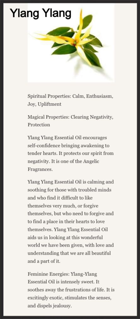 Ylang Ylang Witchcraft, Ylang Ylang Spiritual Meaning, Spiritual Baths, Chakra Health, Witch Herbs, Bubble Bubble, Essential Oils Herbs, Ylang Ylang Essential Oil, Witching Hour