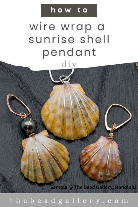 Shell Necklace Diy, Seashell Jewelry Diy, Seashell Art Diy, Sea Shells Diy, Sunrise Shell, Shells Diy, Shell Pendant Diy, Wire Wrap Jewelry Designs, Wire Wrapping Diy