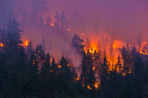 Surreal Images, Sun Worship, Wildland Fire, California Wildfires, Fire Image, Wild Fire, Sierra Nevada Mountains, Lake County, Forest Fire