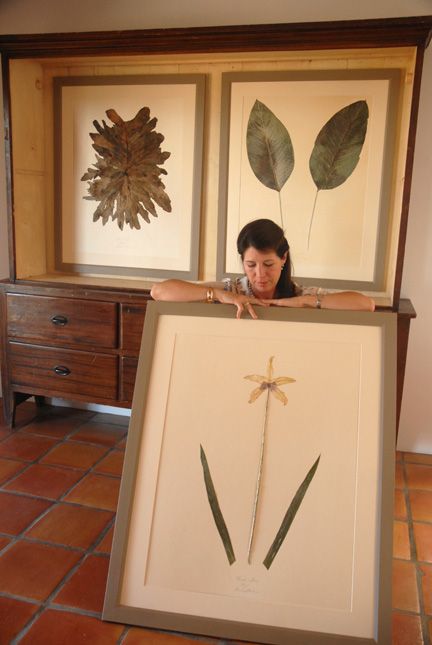 Herbarium Art, Pressed Botanical Art, Plant Products, Contemporary Art Forms, Pressed Botanicals, March 5th, Arte Folk, Pressed Flower Crafts, Nature Artists