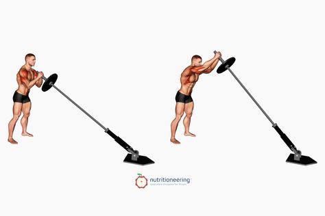 Landmine Press Barbell Chest Exercises Split Workout Routine, Deltoid Workout, Tricep Exercises, Barbell Press, Tricep Pushdown, Resistance Training Workouts, Tricep Workout, Dumbbell Shoulder Press, Chest Exercises